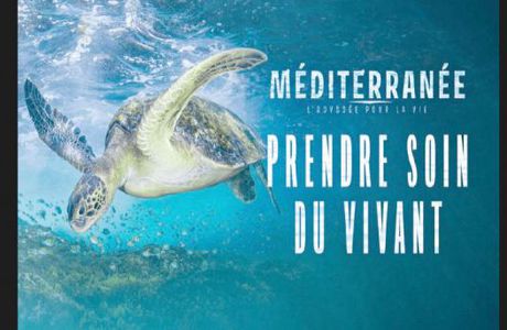  EnviroFest 2022 — « Méditerranée, l’odyssée de la vie », de Frédéric Fougea: Un fascinant voyage dans la Grande Bleue  Par Olfa BELHASSINE 