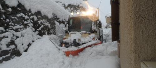 Neige