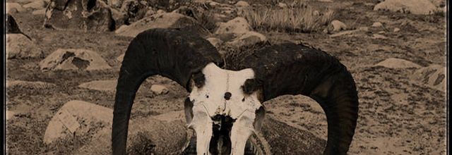 Traveling through Forlorn Steppes - A review of Darkestrah's Chong Aryk