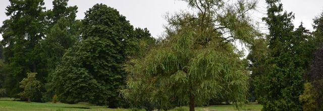 Balade dans le Parc du Château de Rambouillet