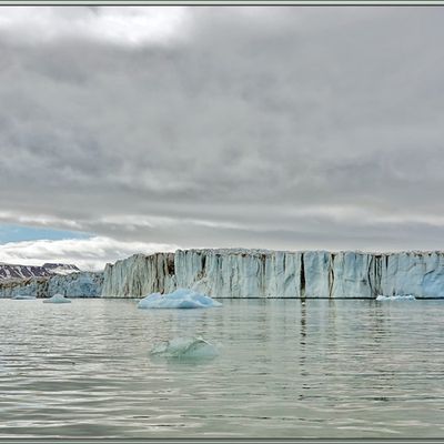 Nous continuons notre progression en Zodiac sous un ciel à nuages lenticulaires et observons un Labbe parasite, Parasitic Jaeger (Stercorarius parasiticus) - Glacier Negribreen - Spitzberg - Svalbard - Norvège