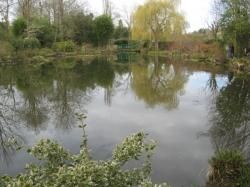 Mardi 11 avril : dans le jardin de Claude Monet