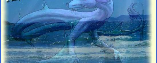 DRAGON DES MERS