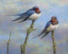 Les oiseaux d'Erik Van Ommen