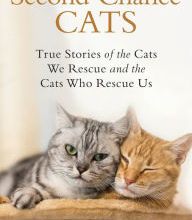 [download pdf] Second-Chance Cats: True Stories of the Cats We Rescue and the Cats Who Rescue Us