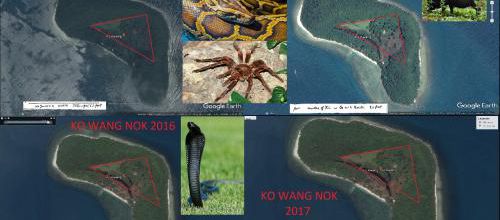 KO WANG NOK, 2014, 2015, 2016, 2017.(Google Earth)