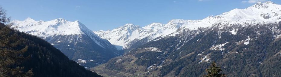 Le Bisse de Saint-Luc