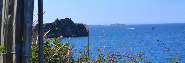 Bon vent belle mer ( suite) 