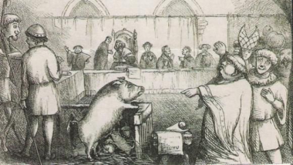 Animaux condamnés par les tribunaux.