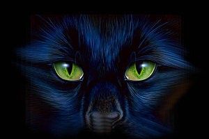 Quelques proverbes ......