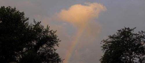 Raimbow