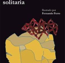 DEMASIADA ROCA SOLITARIA ALBERTO GARCIA SALIDO ePub gratis