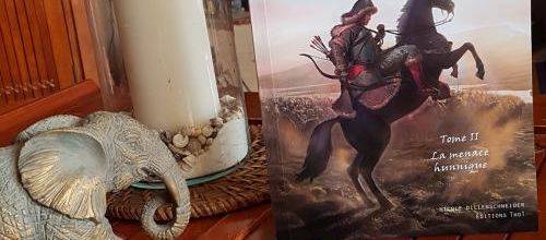 "Poing Dur T2" par Nicole Dillenschneider, une plongée passionnante au Vè siècle, à l'époque des invasions barbares, à lire !  