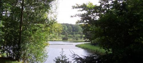 Au fil de l'eau avec les poètes...