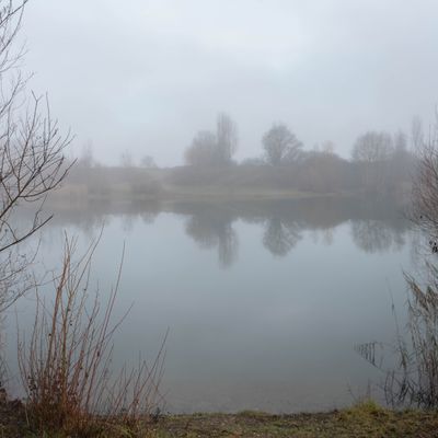 Arlay : eau et brouillard.