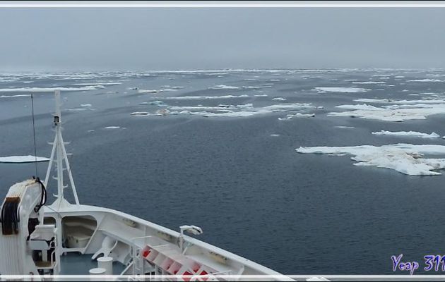L'Austral rentre dans de la banquise en débâcle, 72° Nord, 168° Ouest - Mer des Tchouktches - Alaska