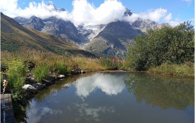 Petite pause dans ma pause