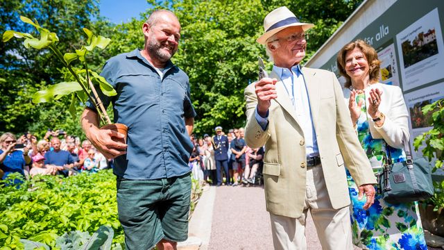 ”Hitta glädjen – en koloniträdgård för alla”