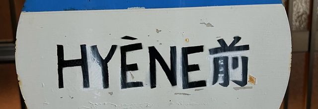 Hyene