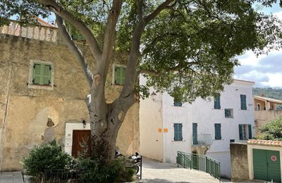Dans les rues d'Aregno - Corse