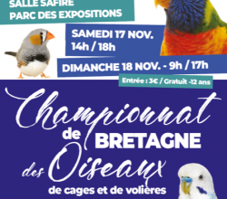 CHAMPIONNAT DE BRETAGNE le 17 et 18 novembre 2018