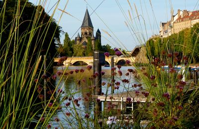 Sortie au plan d'eau