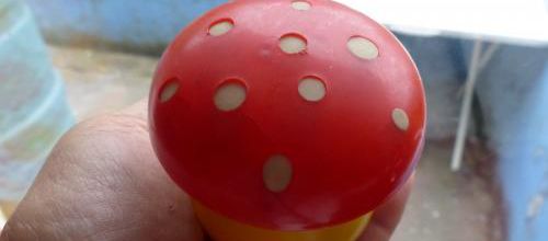 Un beau champignon...