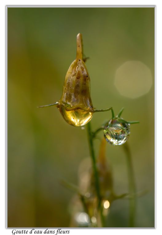 02 - Gouttes d'eau