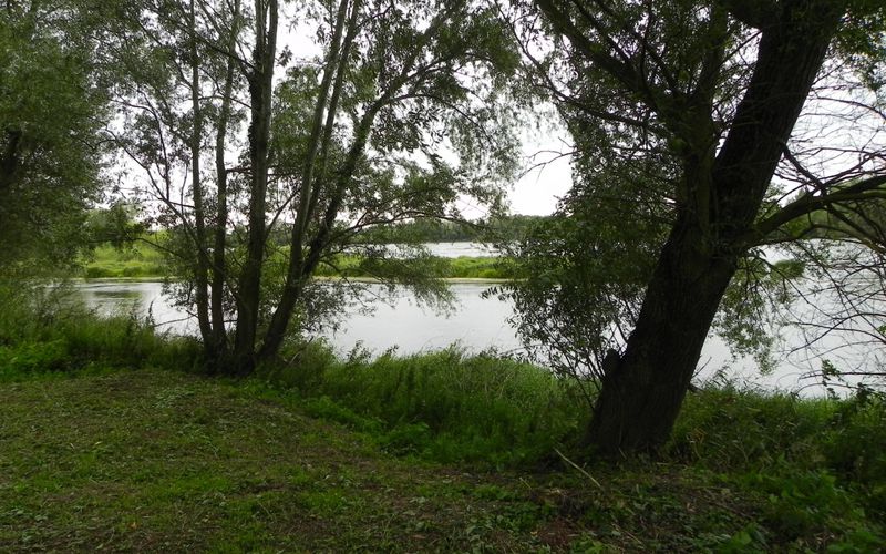 les bords de Loire 
