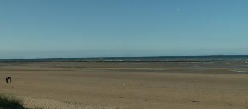 D'ou viennent les moules qui sont dans votre assiette ?