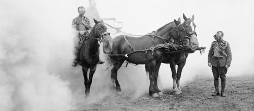 Rendons hommage aux animaux de guerre