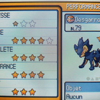 Chapitre 6 - Le Pokéathlon