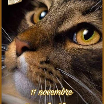 Armistice du 11 novembre