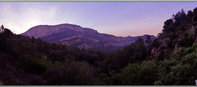 Randonnée au Congost de Mont-Rebei : au lever du jour retour vers l'entrée de la gorge dans une ambiance rose/violette - Aragon/Catalogne - Espagne