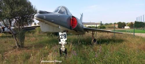  le Grand Étendard IV-M n°29