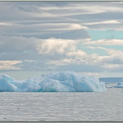 La progression le long du Glacier Negribreen se poursuit avec observation de Mouettes tridactyles, Black-legged Kittiwake (Rissa tridactyla)- Spitzberg - Svalbard - Norvège