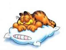 Le sommeil est indispensable à notre cerveau.