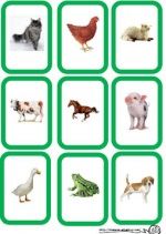 Mon animal secret