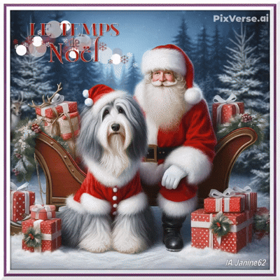 Joyeux Noël & Joyeuses Fêtes de fin d' Année  * Janine et Tavia *