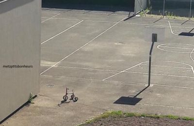 ...des "insolites" de juillet, ça vous dit?