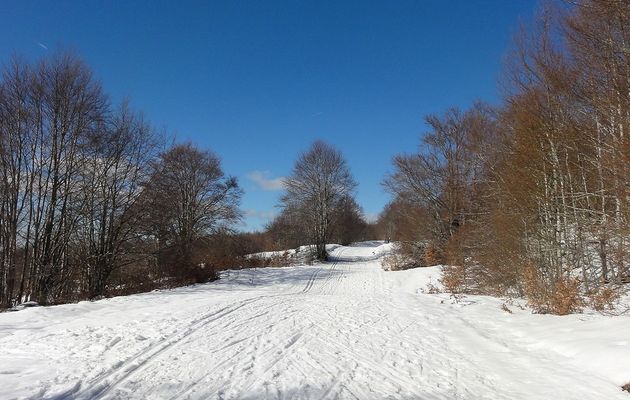 12 ° à l'ombre