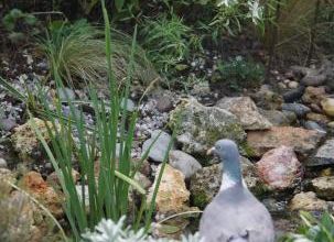 Charmeur Séraphin !