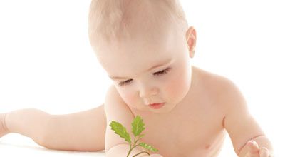 Bébé Bio 