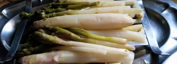 LES ASPERGES DE NOTRE JARDIN