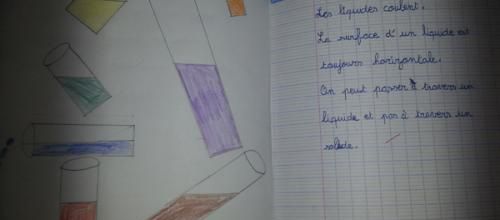 découverte du monde en CE1
