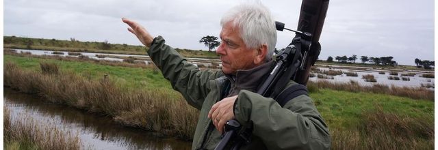 Sortie oiseaux avec Nature à tire-d'ailes de la Bernerie