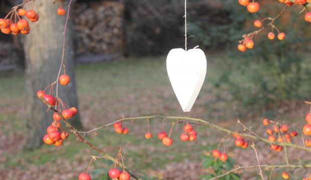 Il suffit d'un coeur...