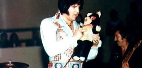 ELVIS 27 AOUT 1976 