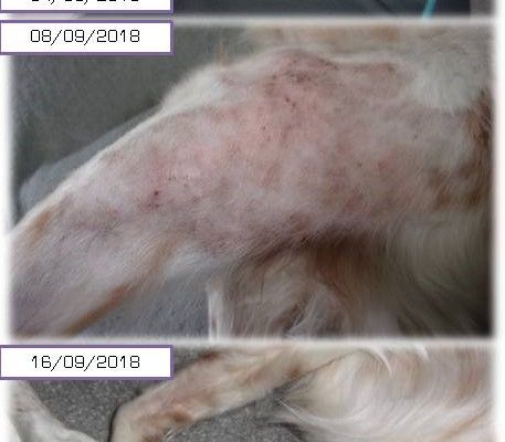 News Emy - on voit la fin