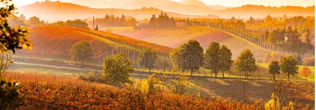 Bienvenue en Novembre ... 